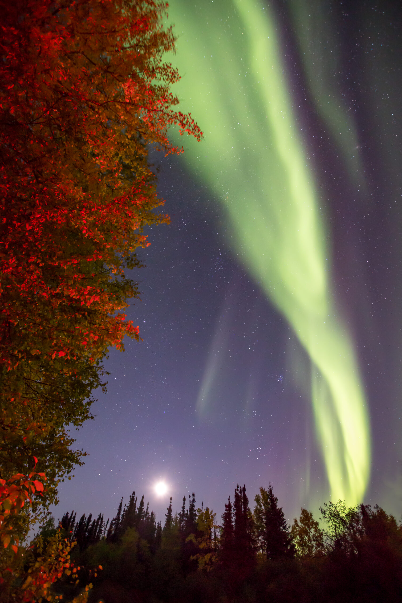 2027 Front Cover Aurora NLCB